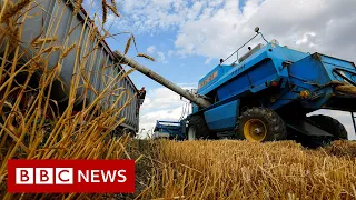 Russia-Ukraine War: Grain exports could restart 'within days' – BBC News