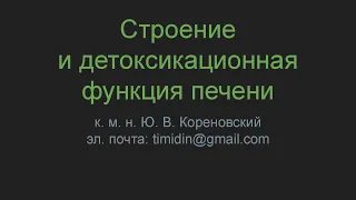 Строение и детоксикационная функция печени