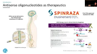 ASO Based Theraputic for Dup15q Syndrome