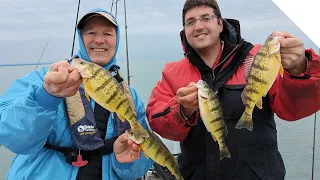 Perch fishing - no minnows, no problem :)