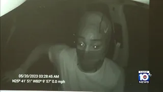 Police say videos show dumb thieves in Miami
