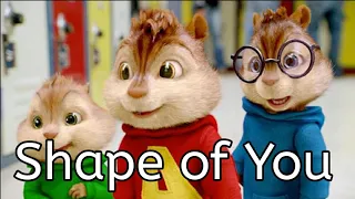 Ed Sheeran - Shape of You - Chipmunk