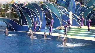 Dolphin Days (Full Show) at SeaWorld San Diego on 8/28/15