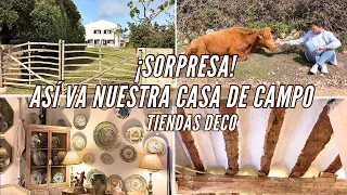 REFORMAMOS la COCINA 🏡  MUCHA DECORACIÓN 🥰 Caballos, gallinas, vacas 👨🏻‍🌾 ¡SORPRESA! 🤭 Ideas DECO ✨