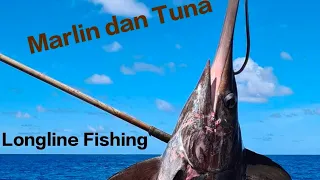 BEGINI CARANYA KAPAL IKAN MODEREN BERBURU TUNA DAN IKAN MARLIN