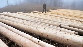 Building Off Grid Log Cabin - Ep 7 / Finished Preparing The Logs