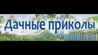 Дачные приколы