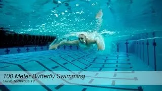 100 Meter Butterfly Swimming Technique