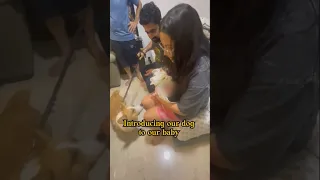 Our dog meeting our baby for the first time