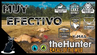 COMO CAZAR DE MANERA EFECTIVA en thehunter:COTW