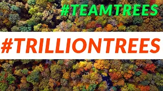 Why Stop at 20 Million Trees? Let's Plant 1.2 Trillion! | #TeamTrees