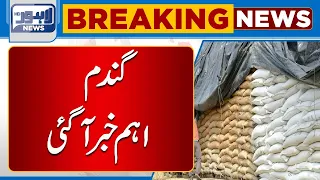 Important News About Wheat Procurement Targets | Lahore News HD