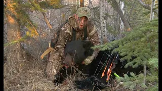 2 Mega giant black bears in one hunt! Recurve and compound in same tree one hunter Boone & Crockett