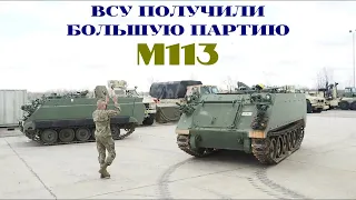 ВСУ получили значительную партию бронетранспортеров M113