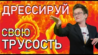 ДРЕССИРУЙ СВОЮ ТРУСОСТЬ. ПСИХОЛОГ Наталья ГРЭЙС