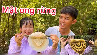 Một ngày đi vào rừng tìm MẬT ONG cùng anh SANGVLOG