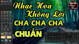 Nhạc Hoa Không Lời CHA CHA CHA Đỉnh Nhất Mọi Thời Đại   Hòa Tấu Nhạc Hoa 7X 8X 9X