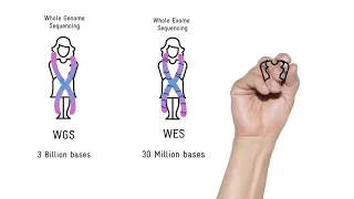 Whole genome, Exome or targetted sequencing