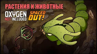 Oxygen Not Included: животные и растения Spaced Out
