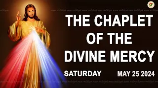 Chaplet of the Divine Mercy I Saturday May 25 2024 I Divine Mercy Prayer I 12.00 PM