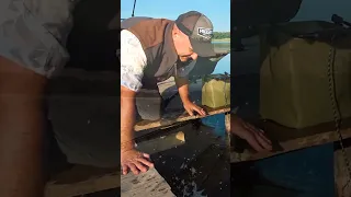 CarpFishing на Дикарі