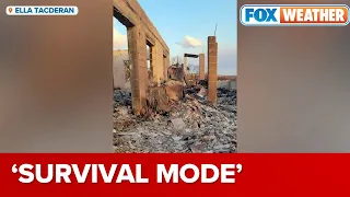 'Survival Mode': Hawaii Woman Housing 23 Of Her Relatives After The Fires Destroyed Their Homes