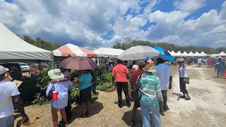 FLOWER SHOW IN BLACK RIVER ST ELIZABETH #JAMAICA 1/4/2024