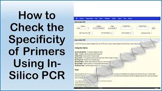 How to Check the Specificity of Primers Using In Silico PCR in UCSC Genome Browser