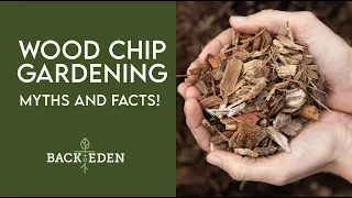 Wood Chip Mulch Gardening Myths and Facts! Dr. Linda Chalker Scott