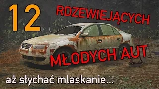 12 rdzewiejących młodych samochodów, aż usłyszysz mlaskanie - #137 TOP