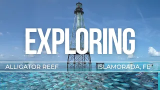 Unbelievable Alligator Reef Lighthouse Snorkel HD- Millions of Fish - Seascape Ocean & Underwater