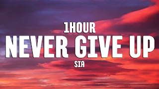 Never Give Up - Sia (Lyrics) [1HOUR]