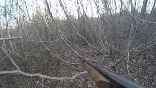 Grouse hunting in NB part 2