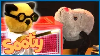 Sooty and Sweeps Magical Performance | The Sooty Show