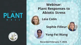 Plant Cell Webinar: Plant Responses to Abiotic Stress