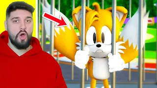 These Sonic Videos Are INSANELY FUNNY! (Sonic David)