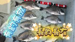 [流記釣魚#06] 今年大黑沙大造 釣極都仲有 起北風最好釣！ 流浮山四匹仔十五匹釣臘魚立魚 #fishing #香港釣魚 #艇釣 #釣魚 #流浮山 #hongkongfishing