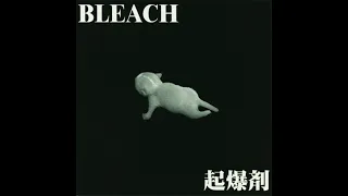 BLEACH - 起爆剤 (Kibakuzai) [2000.11.11] (Full Album)