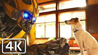 BumbleBee - BumbleBee destroys Charlie's House (funny scene) [4K]