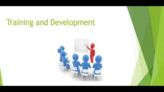 Training and Development | Learning and development | Human resources training