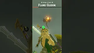 A quick guide on how to defeat the Flame Gleeok #shorts