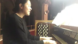 'Holy Is His Name' (hymn by John Michael Talbot) - on pipe organ