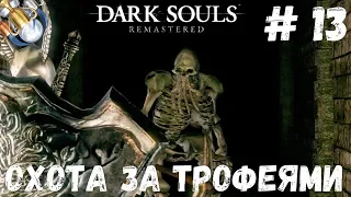 Dark Souls REMASTERED на платину: ч.13. БЕССМЕРТНЫЕ СКЕЛЕТЫ И ОБРЯД ВОЗЖИГАНИЯ