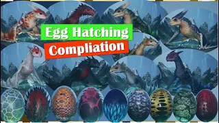 Baby DRAGON Compilation, Egg Hatching to Adults! | Century: Age of Ashes