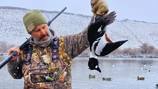 Remote River FULL of Ducks in the SNOW (LIMITS)