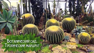 Ботанический сад. Тропический маршрут (2023)