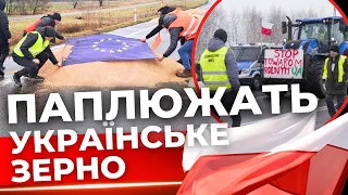 Поляки обурили українців: хто стоїть за зухвалими витівками?