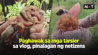 Paghawak sa mga tarsier sa vlog, pinalagan ng netizens | NXT