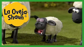 LA RABIETA DE TIMMY|LA BOCA DEL CORTACESPED🐑LA OVEJA SHAUN TEMPORADA 1| DIBUJOS ANIMADOS PARA NIÑOS