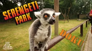 [Doku] Serengeti Park - Das Safari Abenteuer in Europa - Freizeitpark Check